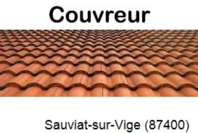 Réparation fuite de toiture à Sauviat-sur-Vige-87400
