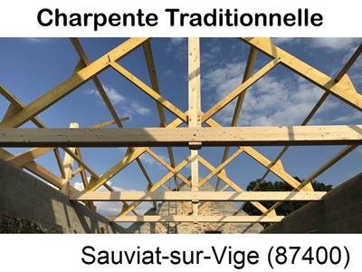 Travaux rénovation toiture à Sauviat-sur-Vige-87400