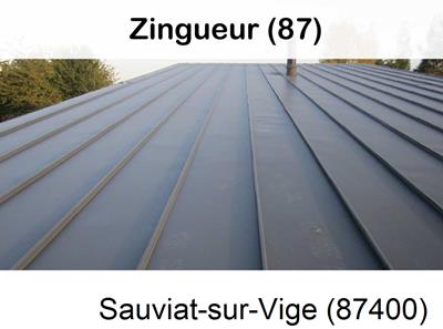 Votre zingueur en image à Sauviat-sur-Vige-87400