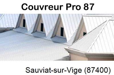 Entreprise de zinguerie à Sauviat-sur-Vige-87400