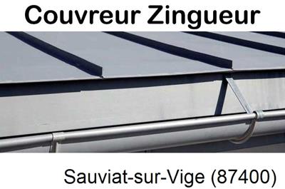 Photo toiture zinc Sauviat-sur-Vige-87400