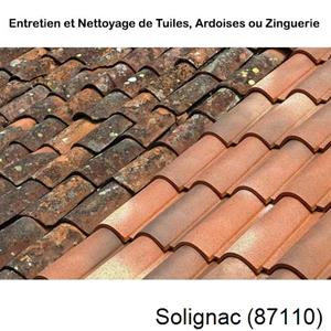 Nettoyage toiture à Solignac-87110