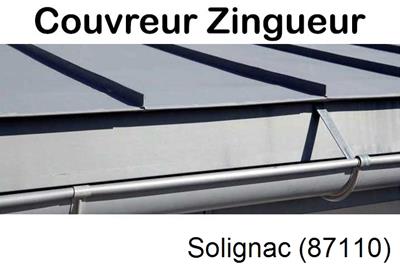 Photo toiture zinc Solignac-87110