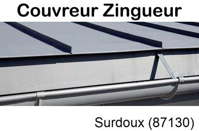 Photo toiture zinc Surdoux-87130