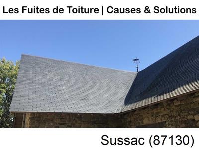 Entreprise de couverture à Sussac-87130