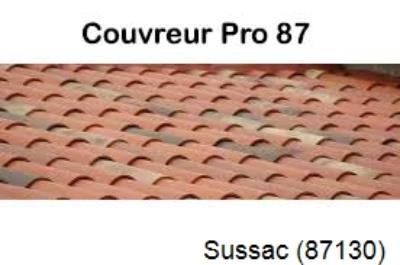 Votre couvreur pour la réparation des toits Sussac-87130