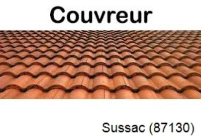 Réparation fuite de toiture à Sussac-87130