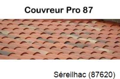 Votre couvreur pour la réparation des toits Séreilhac-87620