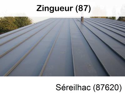 Votre zingueur en image à Séreilhac-87620