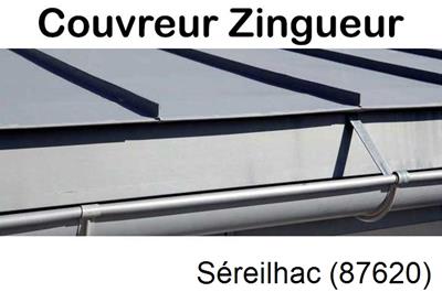 Photo toiture zinc Séreilhac-87620