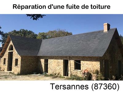 Réparation fuite à Tersannes-87360