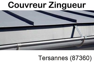 Photo toiture zinc Tersannes-87360