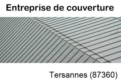 Couvreur pro 87 Tersannes-87360